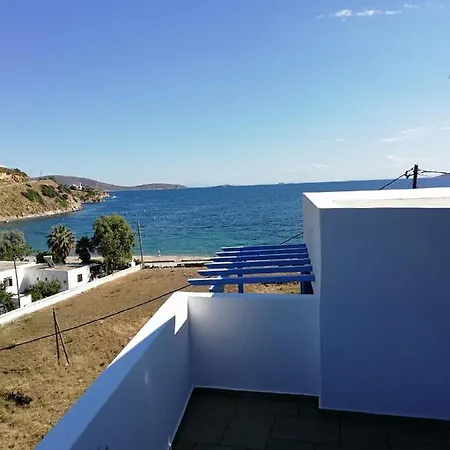 Blue House *